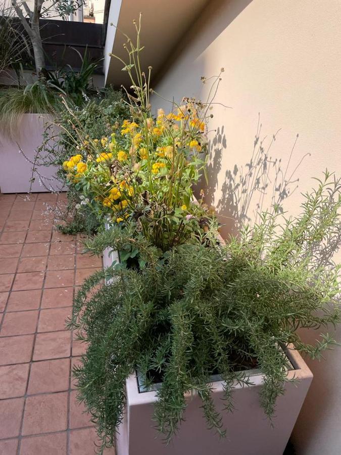 La Terrazza Sull'Arena Apartment Verona Exterior photo
