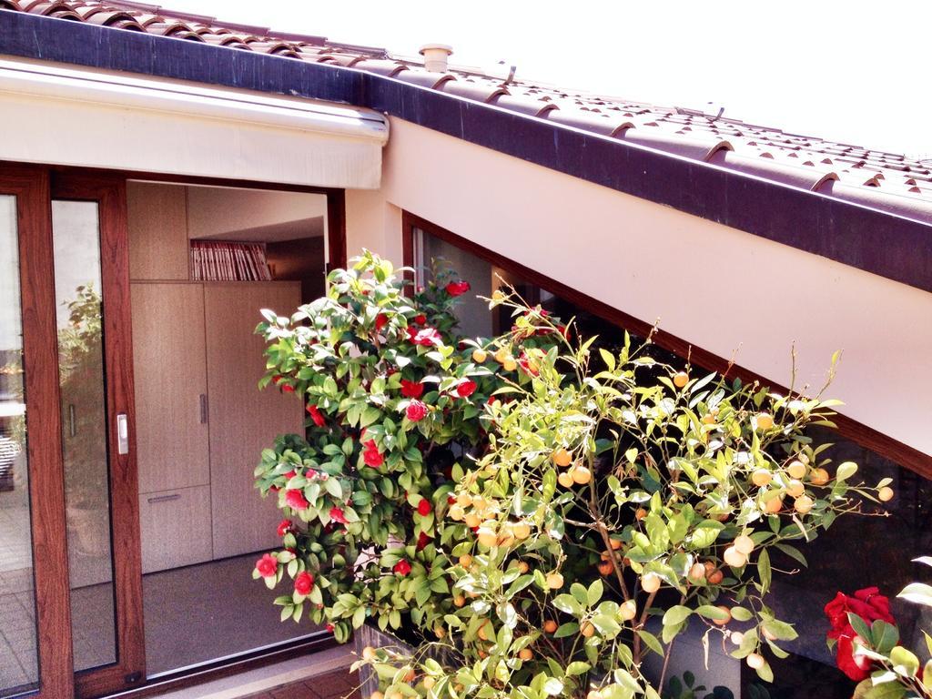 La Terrazza Sull'Arena Apartment Verona Room photo
